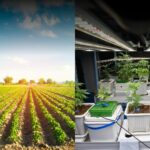 Plant-Based Food Innovation in 2026